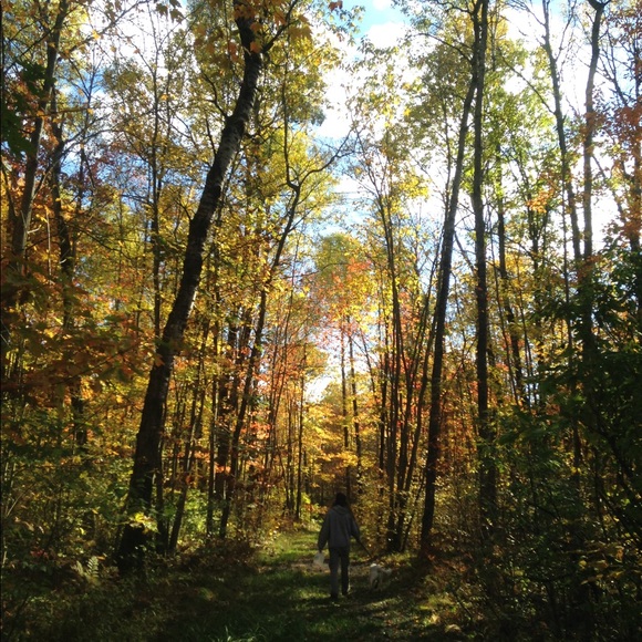 Meet your Posher, Sydnee - Picture 4 of 8